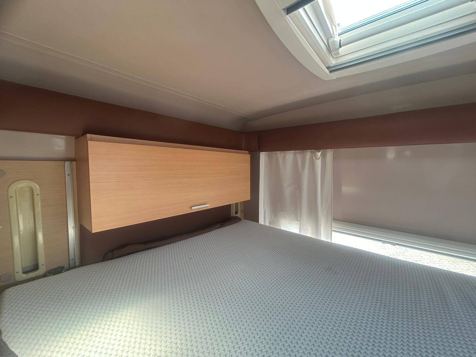 Giottiline Genetics J500