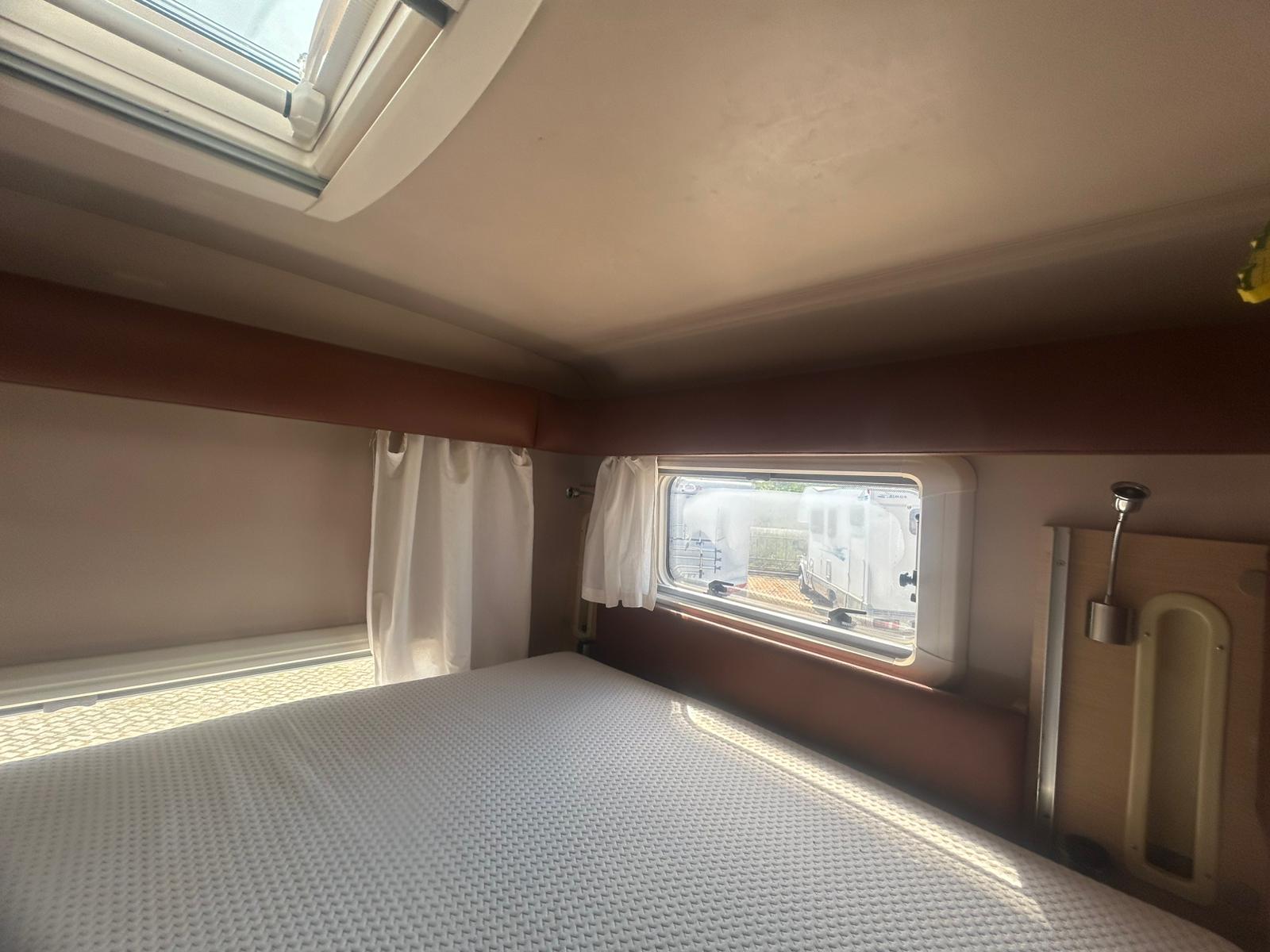 Giottiline Genetics J500